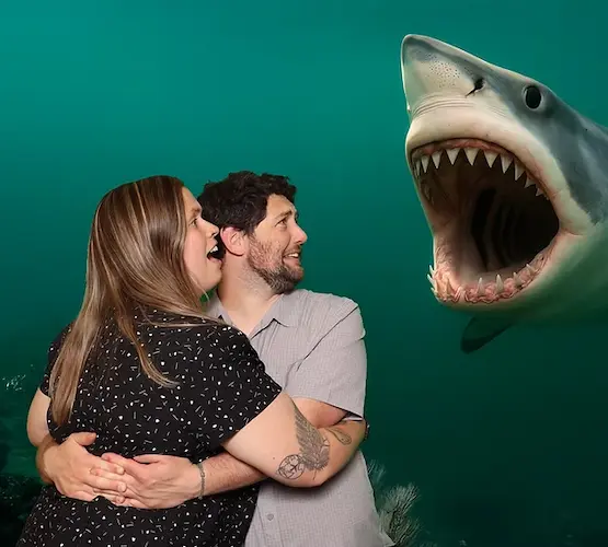 Green Screen photo booth backdrop